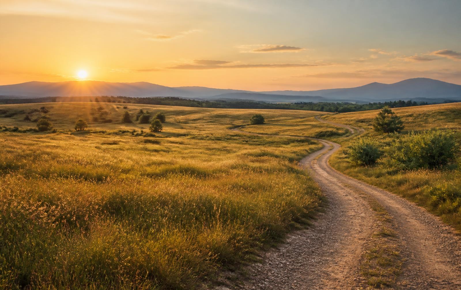 Open rural acreage with a dirt road winding toward distant hills at sunset